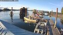 ./images/quadra/hbidock/20250521/hbidock20250521_195009M.jpg