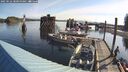 ./images/quadra/hbidock/20250522/hbidock20250522_081000M.jpg