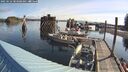 ./images/quadra/hbidock/20250522/hbidock20250522_083508M.jpg