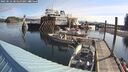 ./images/quadra/hbidock/20250522/hbidock20250522_084500M.jpg