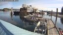 ./images/quadra/hbidock/20250522/hbidock20250522_085000M.jpg