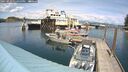 ./images/quadra/hbidock/20250522/hbidock20250522_145000M.jpg