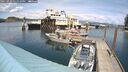 ./images/quadra/hbidock/20250522/hbidock20250522_145011M.jpg