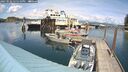 ./images/quadra/hbidock/20250522/hbidock20250522_145510M.jpg