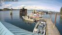 ./images/quadra/hbidock/20250522/hbidock20250522_162510M.jpg