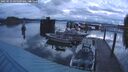 ./images/quadra/hbidock/20250523/hbidock20250523_045009M.jpg