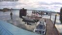 ./images/quadra/hbidock/20250523/hbidock20250523_052508M.jpg