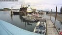 ./images/quadra/hbidock/20250523/hbidock20250523_105011M.jpg