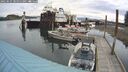 ./images/quadra/hbidock/20250525/hbidock20250525_085011M.jpg