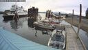 ./images/quadra/hbidock/20250525/hbidock20250525_124011M.jpg