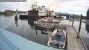 ./images/quadra/hbidock/20250528/hbidock20250528_091000M.jpg