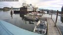 ./images/quadra/hbidock/20250528/hbidock20250528_091009M.jpg