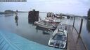 ./images/quadra/hbidock/20250531/hbidock20250531_052509M.jpg