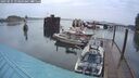 ./images/quadra/hbidock/20250531/hbidock20250531_053009M.jpg