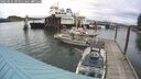 ./images/quadra/hbidock/20250531/hbidock20250531_104511M.jpg