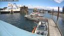 ./images/quadra/hbidock/20250531/hbidock20250531_123500M.jpg