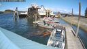 ./images/quadra/hbidock/20250531/hbidock20250531_144508M.jpg