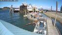 ./images/quadra/hbidock/20250531/hbidock20250531_150510M.jpg