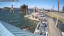 ./images/quadra/hbidock/20250531/hbidock20250531_161511M.jpg