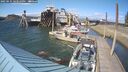 ./images/quadra/hbidock/20250531/hbidock20250531_163510M.jpg