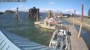 ./images/quadra/hbidock/20250531/hbidock20250531_172508M.jpg