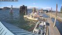 ./images/quadra/hbidock/20250531/hbidock20250531_174010M.jpg