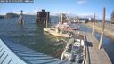 ./images/quadra/hbidock/20250531/hbidock20250531_175010M.jpg