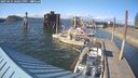 ./images/quadra/hbidock/20250531/hbidock20250531_180013M.jpg