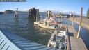 ./images/quadra/hbidock/20250531/hbidock20250531_181000M.jpg
