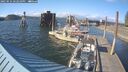 ./images/quadra/hbidock/20250531/hbidock20250531_182010M.jpg