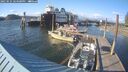 ./images/quadra/hbidock/20250531/hbidock20250531_184500M.jpg