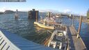 ./images/quadra/hbidock/20250531/hbidock20250531_195009M.jpg
