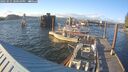./images/quadra/hbidock/20250531/hbidock20250531_200009M.jpg