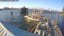 ./images/quadra/hbidock/20250531/hbidock20250531_200500M.jpg