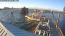 ./images/quadra/hbidock/20250531/hbidock20250531_202509M.jpg