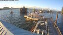 ./images/quadra/hbidock/20250531/hbidock20250531_203009M.jpg