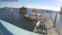 ./images/quadra/hbidock/20250601/hbidock20250601_082500M.jpg