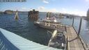 ./images/quadra/hbidock/20250601/hbidock20250601_083000M.jpg
