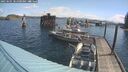 ./images/quadra/hbidock/20250601/hbidock20250601_101000M.jpg