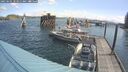 ./images/quadra/hbidock/20250601/hbidock20250601_103011M.jpg