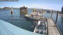 ./images/quadra/hbidock/20250601/hbidock20250601_113000M.jpg