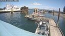 ./images/quadra/hbidock/20250601/hbidock20250601_125010M.jpg