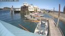 ./images/quadra/hbidock/20250601/hbidock20250601_145000M.jpg