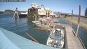 ./images/quadra/hbidock/20250601/hbidock20250601_145010M.jpg