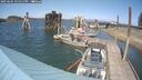 ./images/quadra/hbidock/20250601/hbidock20250601_151511M.jpg