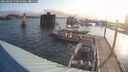 ./images/quadra/hbidock/20250602/hbidock20250602_070510M.jpg