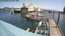 ./images/quadra/hbidock/20250602/hbidock20250602_110000M.jpg