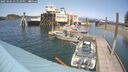./images/quadra/hbidock/20250602/hbidock20250602_145510M.jpg