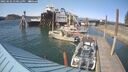 ./images/quadra/hbidock/20250602/hbidock20250602_170012M.jpg