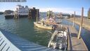 ./images/quadra/hbidock/20250602/hbidock20250602_184011M.jpg